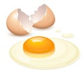 Broken egg Royalty Free Stock Photo