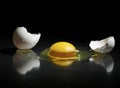 Broken Egg Royalty Free Stock Photo