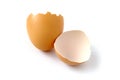 Broken egg Royalty Free Stock Photo