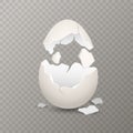 Broken egg. Chicken cracked eggshell. Opened egg with broken shell, farm bird incubator, culinary cooking nutrition