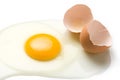 Broken Egg and Egg Shell Royalty Free Stock Photo