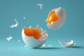 Broken Egg With Egg Yolk