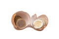 Broken egg with euro coins Royalty Free Stock Photo