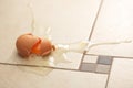 Broken egg on the floor Royalty Free Stock Photo