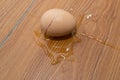 Broken egg on floor