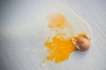 Broken egg on floor. Royalty Free Stock Photo