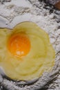 Broken egg on flour, means for making bread. Close-up raw egg yolk on flour with selective focus Royalty Free Stock Photo