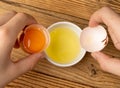 Broken Egg in Hand, Raw Yolk and White Separation, Cracked Brown Shell, Fresh Broken Organic Chicken Eggs Royalty Free Stock Photo