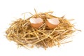 Broken egg in a hay nest Royalty Free Stock Photo