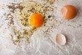 Broken egg with herbs mix on the white table Royalty Free Stock Photo
