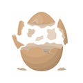 Broken egg isolated on a white background. Farm chicken eggshell cracking. Cracked eggs with eggshell pieces. Easter