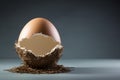 Broken egg in the nest on a gray background with copy space Royalty Free Stock Photo