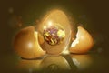 Broken egg with the planet inside Royalty Free Stock Photo