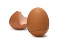 Broken egg shell