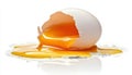 Broken egg shell with liquid yolk and egg white on a clean white surface Royalty Free Stock Photo