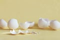 Broken egg shell on white background with space for text, begging of life concept Royalty Free Stock Photo