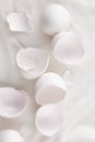 Broken egg shell on white background with space for text Royalty Free Stock Photo