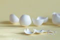 Broken egg shell on yellow background with space for text Royalty Free Stock Photo