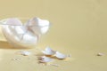 Broken egg shell on yellow background with space for text Royalty Free Stock Photo