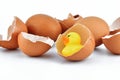 Cracked egg open with yellow plastic duck on white background Royalty Free Stock Photo