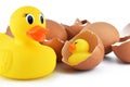 Cracked egg open with yellow plastic duck on white background Royalty Free Stock Photo