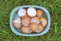 Broken Egg Shells In Plastic Plate 1