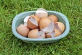 Broken Egg Shells In Plastic Plate 2