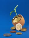 Broken egg with sprout in with euro coins on blue background Royalty Free Stock Photo