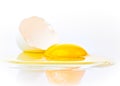 Broken egg on a white background Royalty Free Stock Photo