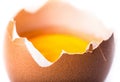 Broken egg on white background Royalty Free Stock Photo