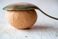 Broken egg on white table Royalty Free Stock Photo