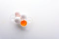 Broken egg with whole eggs in a transparent plastic container on white wooden background Royalty Free Stock Photo