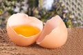 Broken egg with yolk and eggshell On a wooden table with a blurry garden background Royalty Free Stock Photo