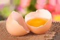 Broken egg with yolk and eggshell On a wooden table with a blurry garden background Royalty Free Stock Photo