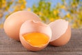 Broken egg with yolk and eggshell On a wooden table with a blurry garden background Royalty Free Stock Photo