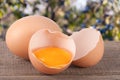 Broken egg with yolk and eggshell On a wooden table with a blurry garden background Royalty Free Stock Photo