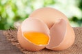 Broken egg with yolk and eggshell On a wooden table with a blurry garden background Royalty Free Stock Photo
