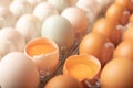 broken eggs of chicken and duck in plastic box Royalty Free Stock Photo
