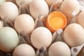 Broken eggs of chicken in plastic box Royalty Free Stock Photo