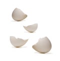 Broken eggs Royalty Free Stock Photo