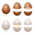 Broken eggs cracked open easter eggshell design 3d realistic icons set isolated vector illustration Royalty Free Stock Photo