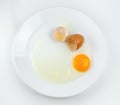 Broken eggs on a plate white background. reddish yellow Royalty Free Stock Photo