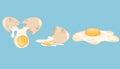 Broken eggs and scrambled eggs. Poultry farming. Yolk, albumen, eggshell. Healthy food. Perfect for printing restaurant menus and