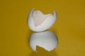 Broken eggs shell Royalty Free Stock Photo