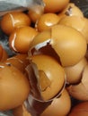 Broken eggs shell in plastic garbage Royalty Free Stock Photo