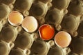 Broken eggs shells Royalty Free Stock Photo