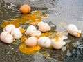 Broken eggs on wet asphalt, bad day in rainy weather. Close up image. Bad day concept