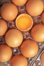 broken eggs and yolk of chicken in plastic box Royalty Free Stock Photo