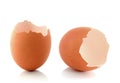 Broken eggshell Royalty Free Stock Photo