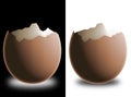 Broken eggshell Royalty Free Stock Photo